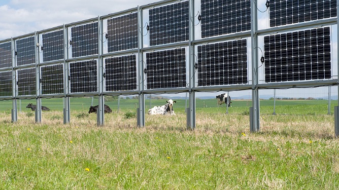 Áramtermelés új korszaka – Mindkét oldalán áramot termel az új kerítés